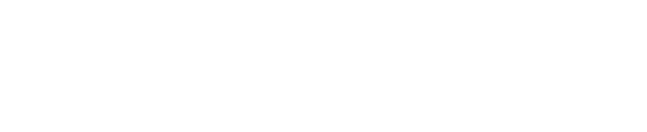 Aciturri