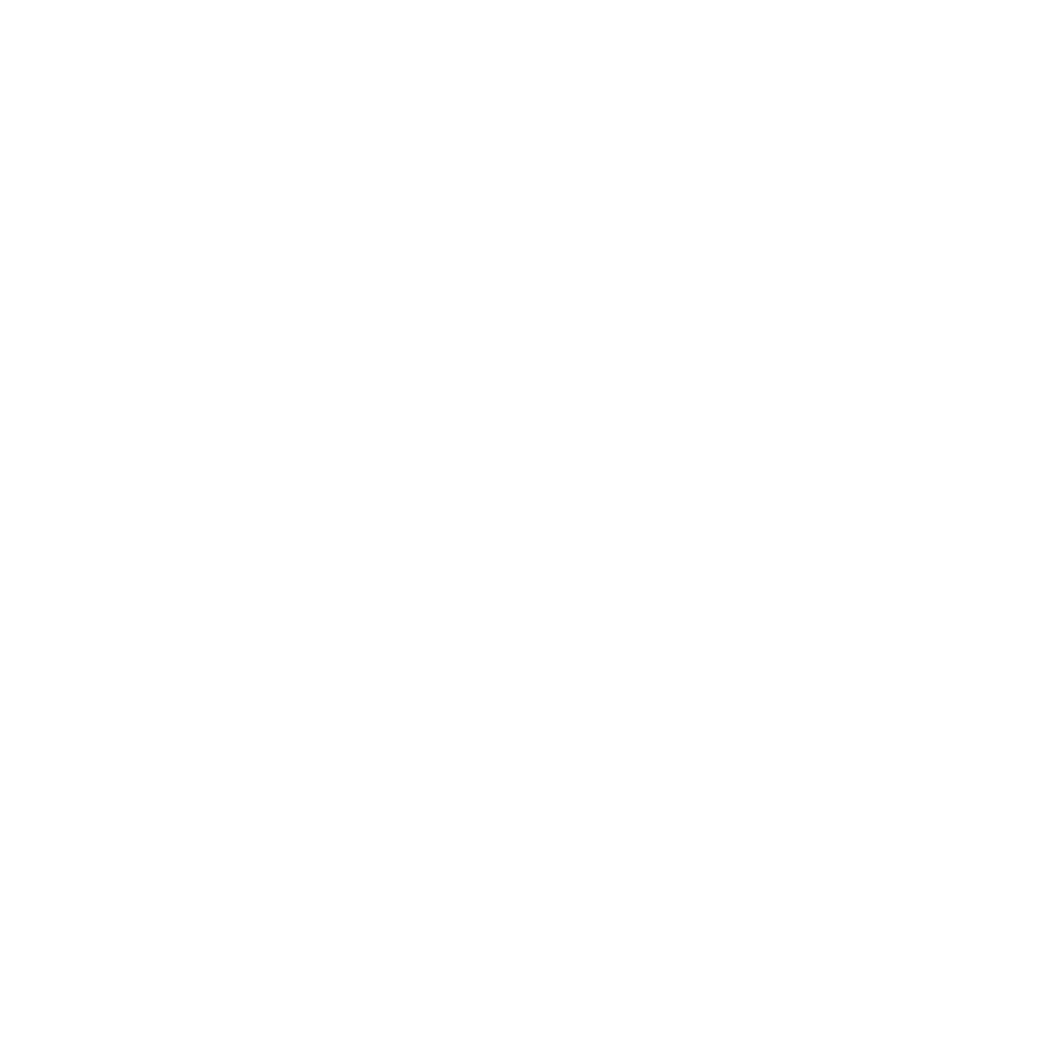 NCPL-Page-Icons_skills