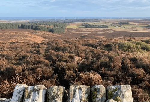 View over moors