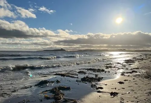 Dunstanburgh Beach